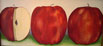 Red Delicious